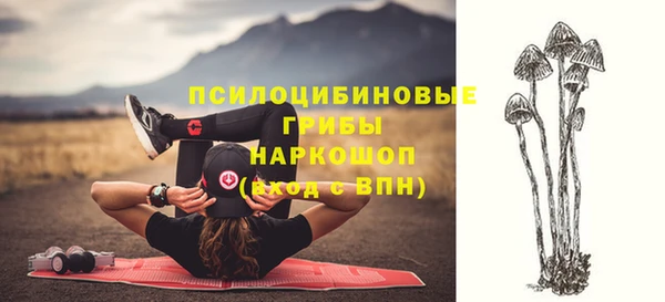 гидра Беломорск