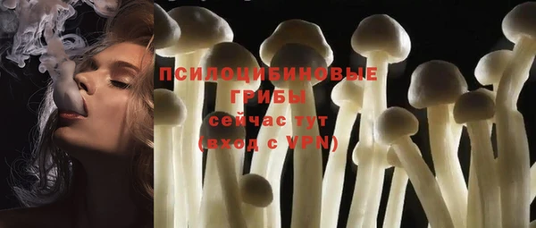 каннабис Белокуриха